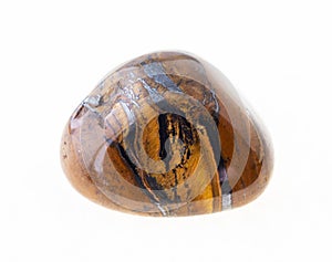 polished tiger eye (tiger-eye) gem stone on white