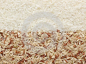 Polished and unpolished rice