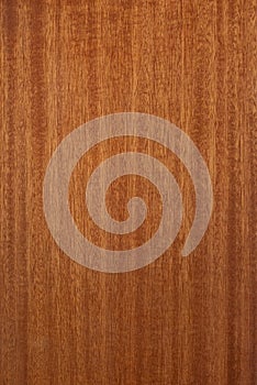 Polished wood texture - High resolution resource