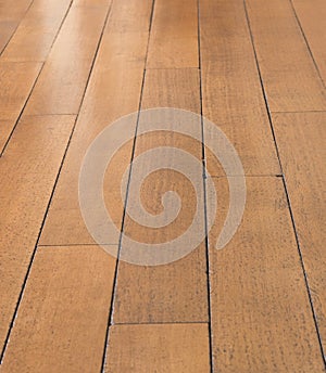 Polished Wooden Floorboards