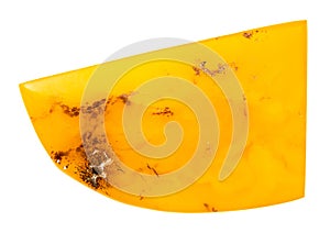 polished yellow natural baltic amber gemstone