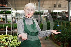 Polite friendly elderly saleswoman inviting to garden shop