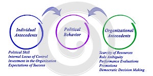 Political Behavior