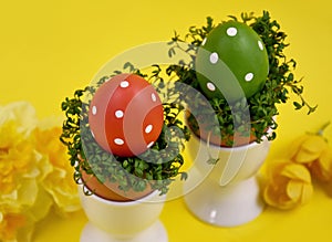 Polka dot easter eggs with watercress decoration stock images