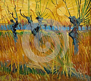 Pollard willows at sunset by famous Dutch painter Vincent Van Gogh photo