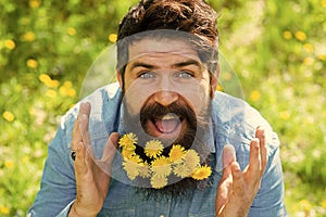 Pollen allergy. Taking antihistamines makes life easier for allergy sufferers. Man with yellow dandelions in beard