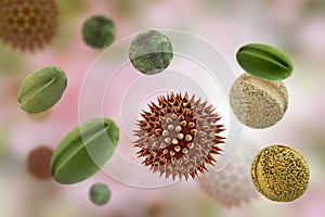 Pollen grains from different plants