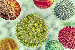Pollen grains from different plants