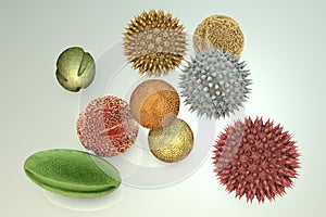 Pollen grains, illustration photo