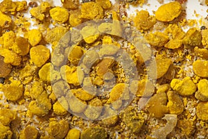 Pollen loads - macro photo of bee pollen - perga