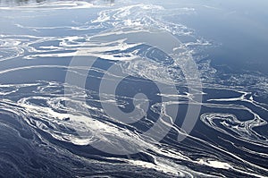 Pollen in a river during spring