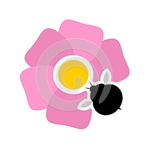 Pollination flower icon