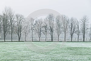 Pollok Park on a misty, winter day. photo