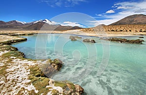 Polloquere hot Springs in Salar de Surire national park