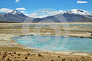 Polloquere hot Springs in Salar de Surire national park