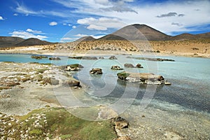 Polloquere hot Springs in Salar de Surire national park