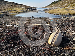 Polluted beach by the sea in Norway