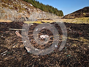 Polluted beach by the sea in Norway