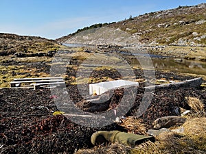 Polluted beach by the sea in Norway