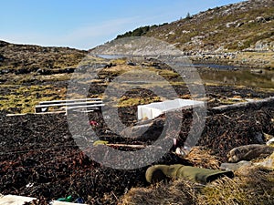 Polluted beach by the sea in Norway