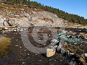 Polluted beach by the sea in Norway