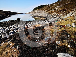 Polluted beach by the sea in Norway