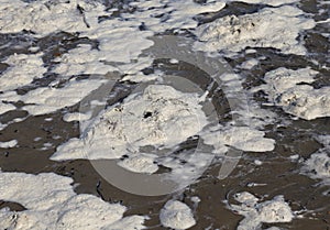 polluted foam of the ocean due to the surfactants p photo