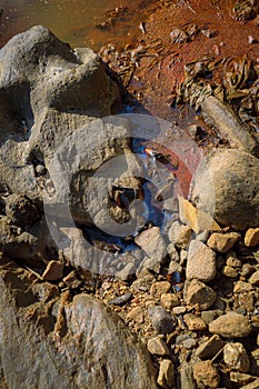 Polluted Garbage and Trash in a River Bank