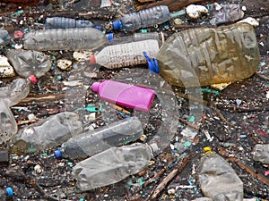 Polluted lake. Pollution in water. Plastic bottles. Diseases and illnesses