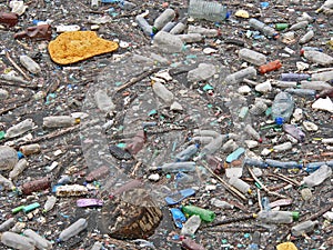Polluted lake. Pollution in water. Plastic bottles. Diseases and illnesses
