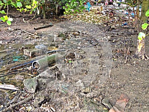 Polluted mangrove swamp