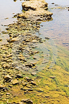 Polluted river detail