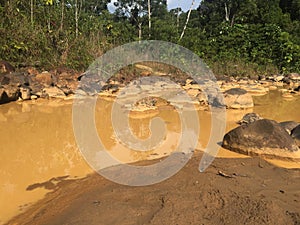 A polluted river in a mostly deforested part of the rainforest because of gold mining