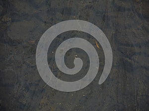 Polluted in shallow water surface.