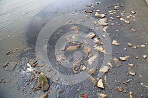 Polluted Shore Line (black beach due to pollution)