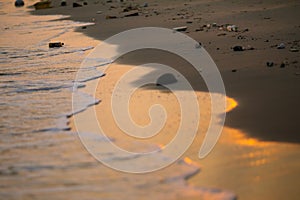 Polluted tropical beach. Pollution and environmental problems. Nature.