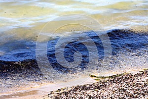 Polluted Water and Beach