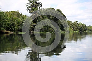 Polluted water from the joanes river