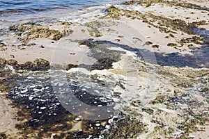 Polluted water on the sea shore