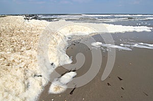 Pollution on the Beach