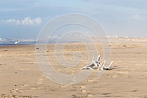 Pollution beach sea shore garbage plastic chair city view.