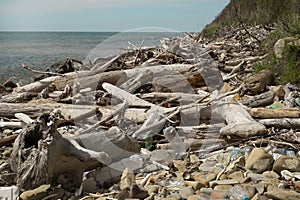 Pollution of the coastline, plastic, plastic bags, garbage - an environmental disaster.