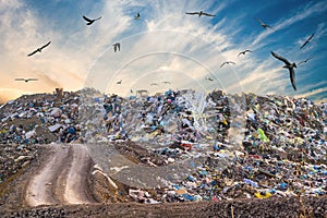 Pollution concept. Garbage pile in trash dump or landfill. Birds flying around photo