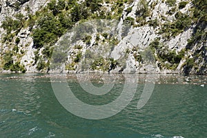 Pollution with empty PET bottles on the komani lake in Albania