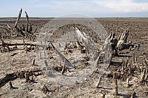 Contaminación 