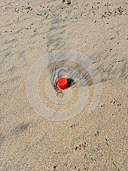 Pollution on Mumbai Versova beach endangering marine life