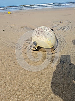 Pollution on Mumbai Versova beach endangering marine life