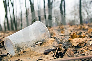 Pollution of nature. Trash and garbage, environmental hazard. Plastic cup in an old tree in the leaves. trash from