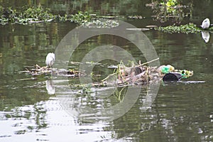 Pollution Pinheiros River