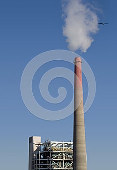 Pollution Plant